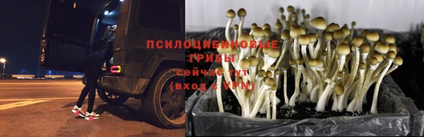 соль курить ск Армянск