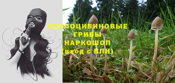 мдпв Арсеньев
