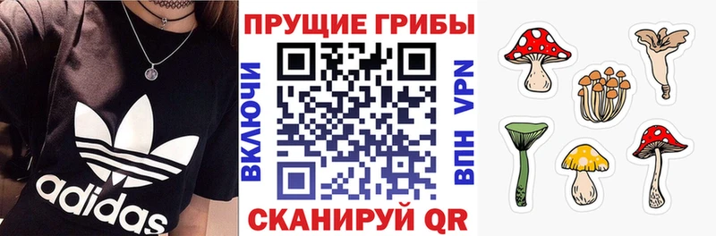 Галлюциногенные грибы Psilocybine cubensis  Балахна 
